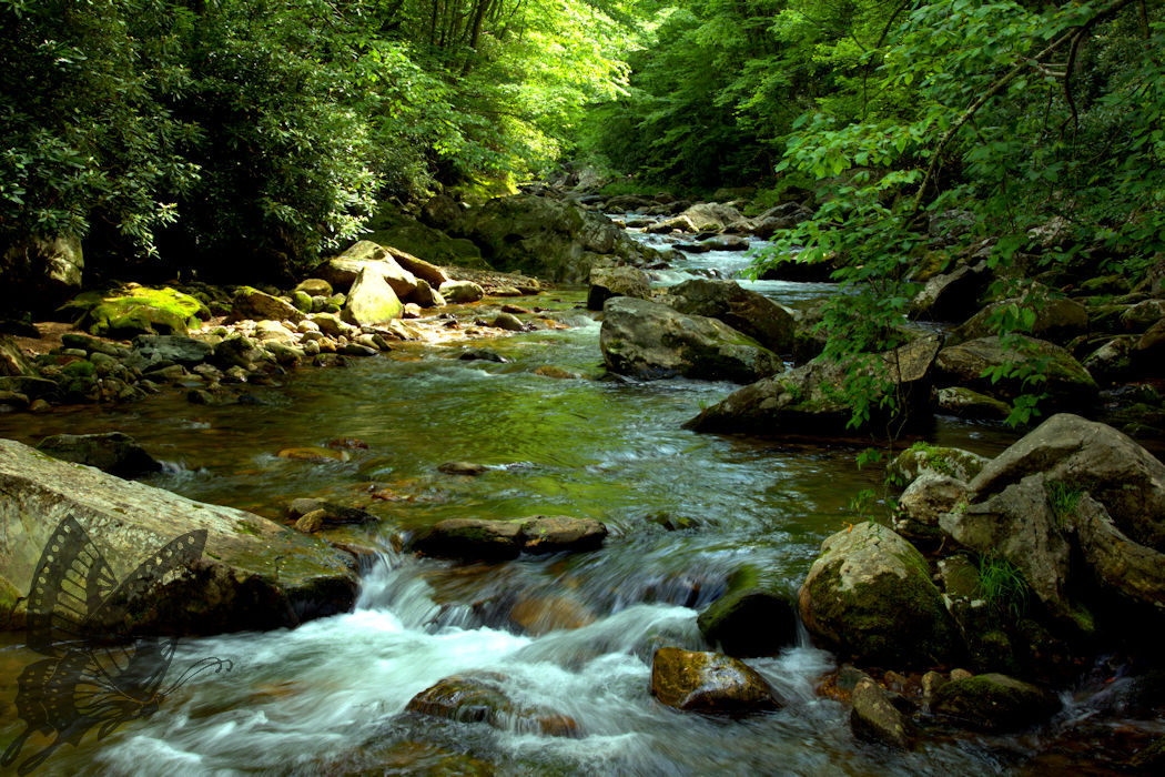 Pigeon River